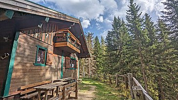 Ferienhaus in Wagrain - Traumhafte Lage im Wald (im Herbst)