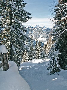 Ferienhaus in Wagrain - Skihütte Wagrain - ein Wintermärchen