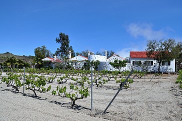 Ferienhaus in La Escalona-Vilaflor - Finca von Westen