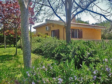 Ferienhaus in Alghero - Bungalow im Olivenhain + Pool